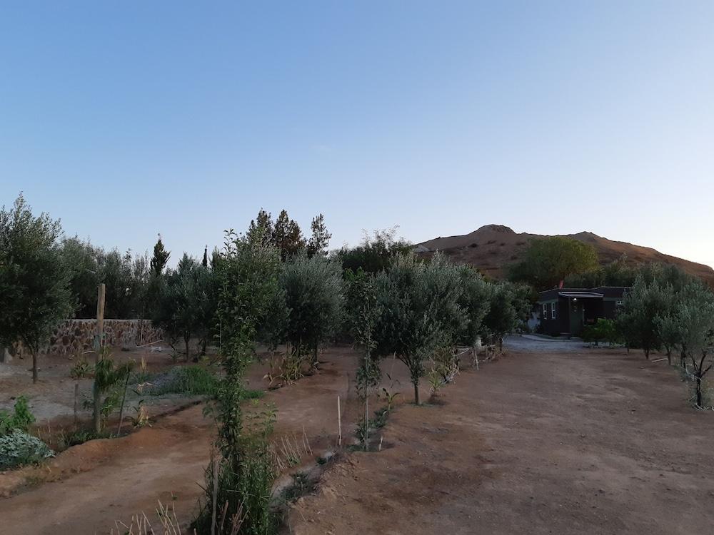 Hotel Meson Del Vino Valle de Guadalupe Buitenkant foto