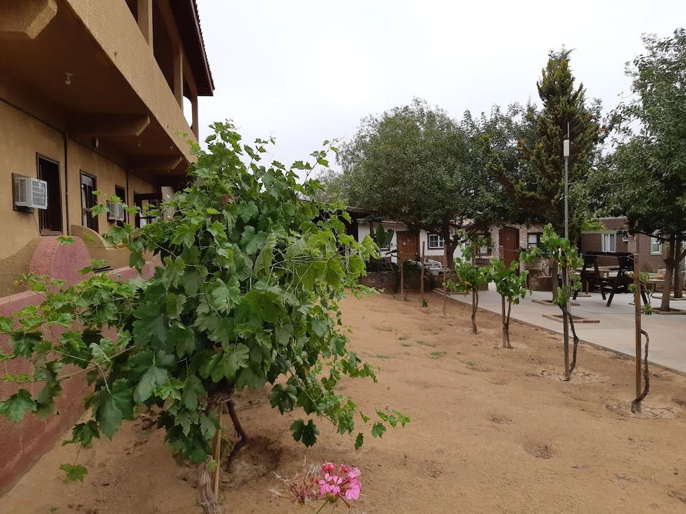 Hotel Meson Del Vino Valle de Guadalupe Buitenkant foto