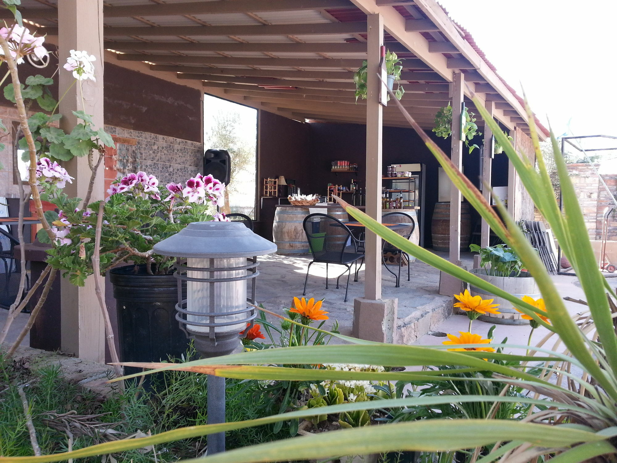 Hotel Meson Del Vino Valle de Guadalupe Buitenkant foto