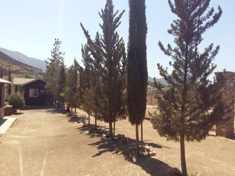 Hotel Meson Del Vino Valle de Guadalupe Buitenkant foto