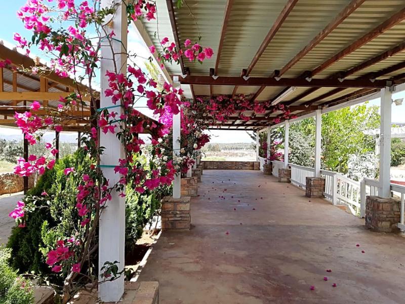 Hotel Meson Del Vino Valle de Guadalupe Buitenkant foto