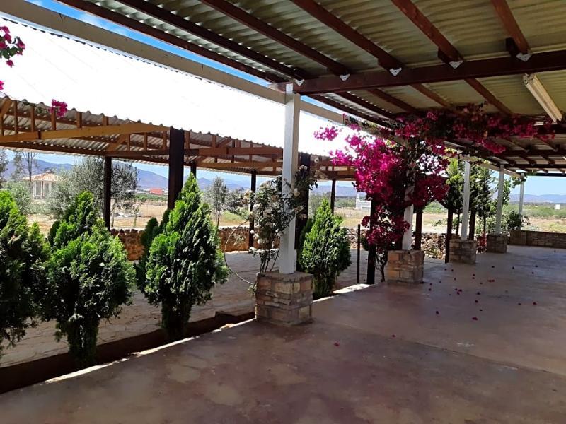 Hotel Meson Del Vino Valle de Guadalupe Buitenkant foto